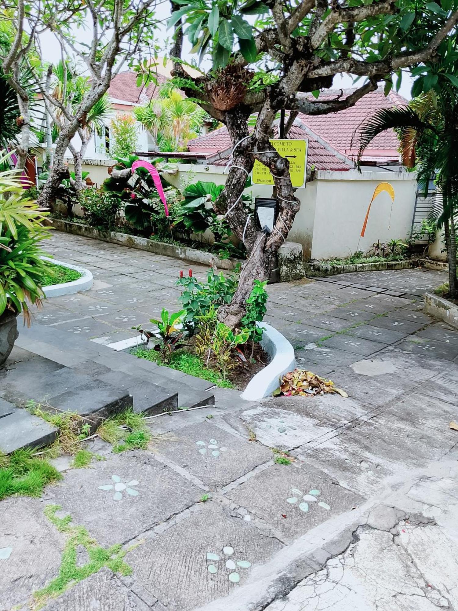 Villa Privat Pool At Kuta